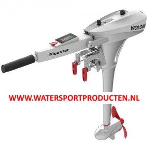 Wolong Flowstar 1.5 kortstaart met knuppel en accu